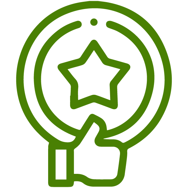 excellent workmanship icon