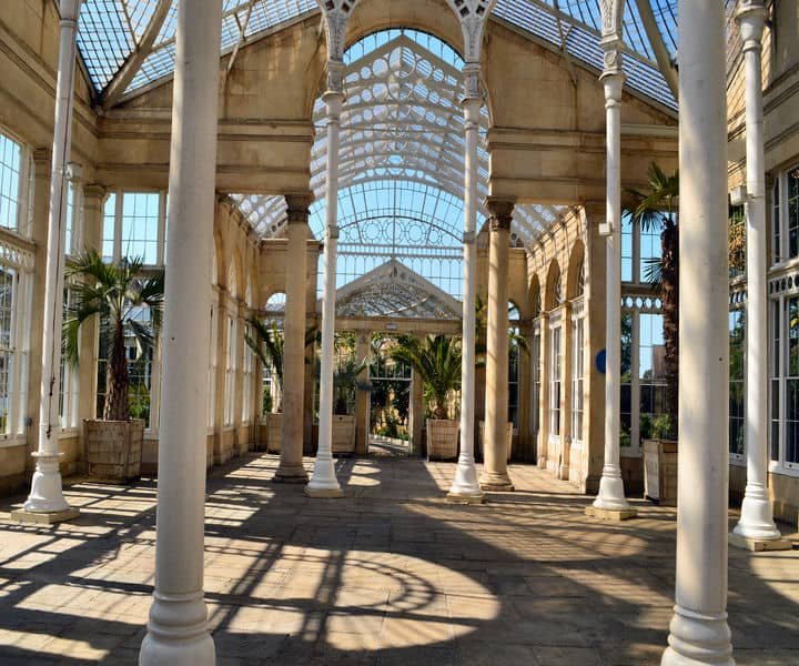 Interior of a sunlit greenhouse with tall white columns, large windows, and tropical plants, showcasing intricate architectural details.